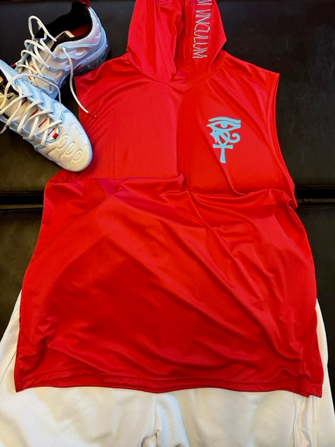 Short Sleeve Light Weight Hoodie Synspirations